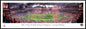 Georgia Bulldogs - 2022 CFP National Championship Celebration - Standard Frame