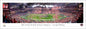 Georgia Bulldogs - 2022 CFP National Championship Celebration - Unframed Poster