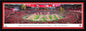 Ohio State Buckeyes - 2025 CFP National Championship Celebration - Select Frame with Single Mat