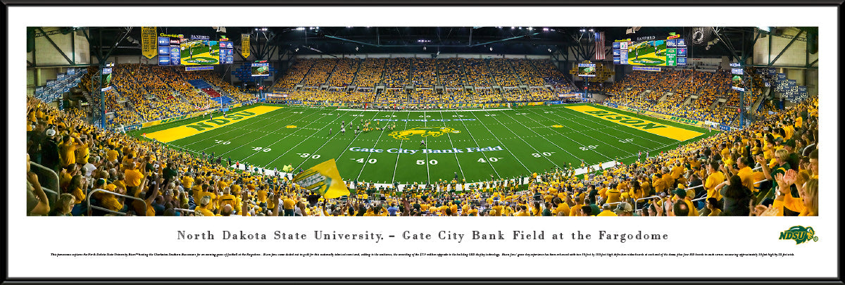 North Dakota State Bison - The Fargodome - Standard Frame