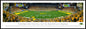 North Dakota State Bison - The Fargodome - Standard Frame