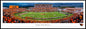 Oregon State Beavers - Reser Stadium - Standard Frame