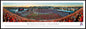 University of Arizona Wildcats - Arizona Stadium - Standard Frame