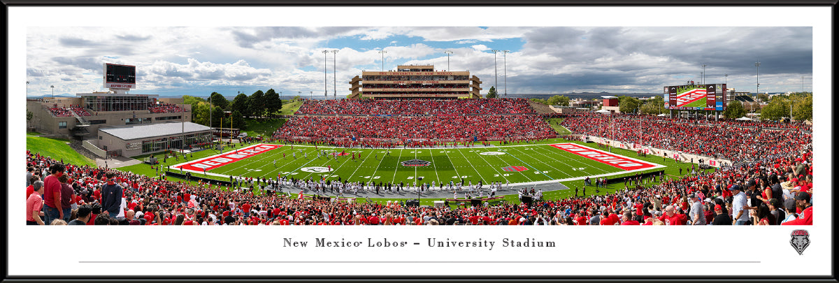 New Mexico Lobos - University Stadium - Standard Frame